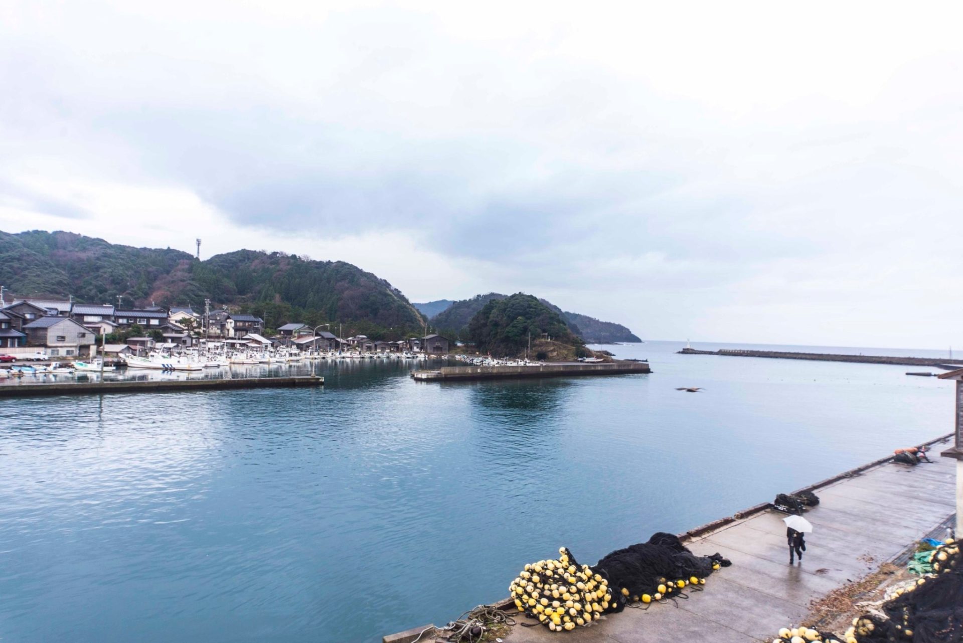 2階客室から見える竹野川河口の風景
