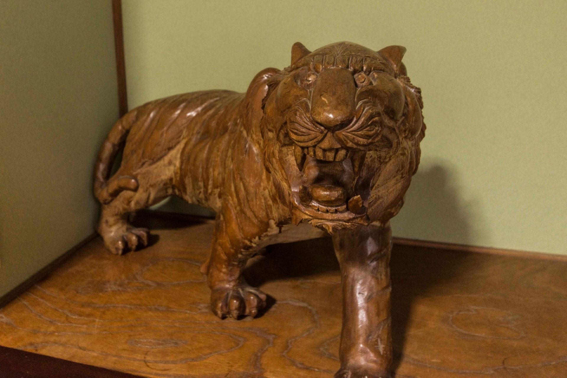 床の間にいるねこざきの看板ネコ（トラ）
