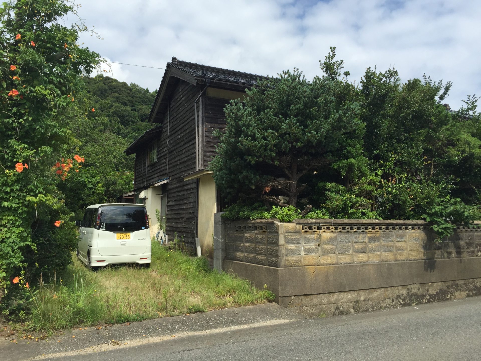 購入時の外観（ジャングル）