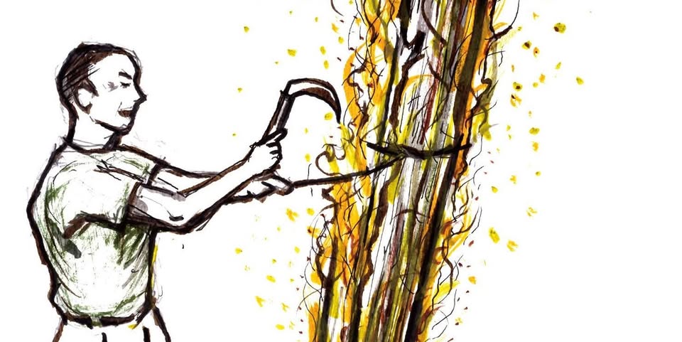 あつまれ～！ヤキータ！～竹野の大工さんと焼いて張る～